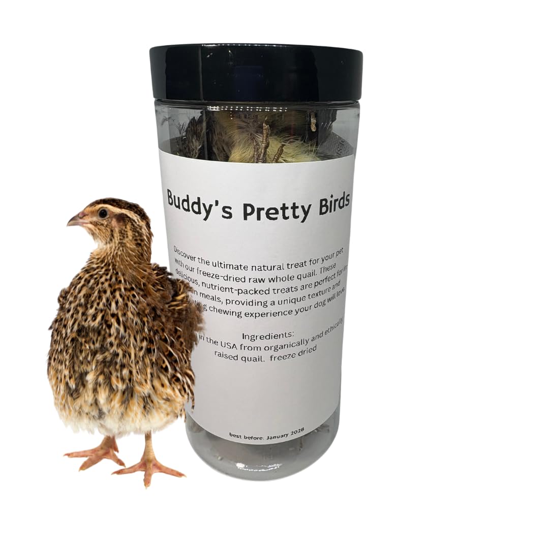 Bird Dog Training Quail - Premium Freeze-Dried Whole Quail for Dogs 5ct, Large (Chick) - Natural Prey Feeding Quality Protein Pet Treats