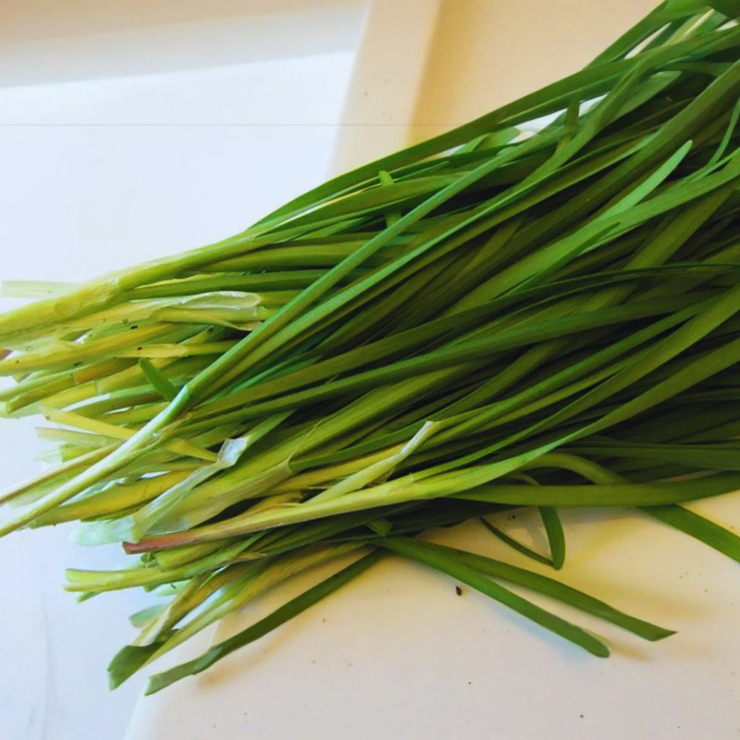 Chives Seeds Combo Pack | Garlic & Onion Varieties | Non-GMO Fresh Garden Seeds | USA Grown
