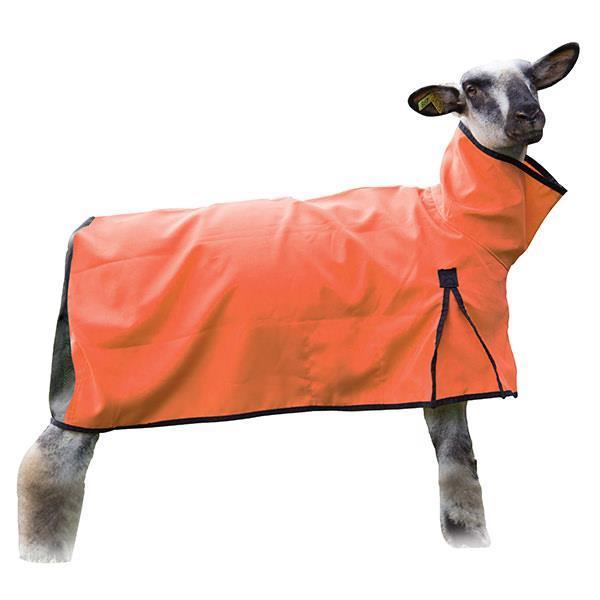SHEEP COOL MESH ORANGE SM