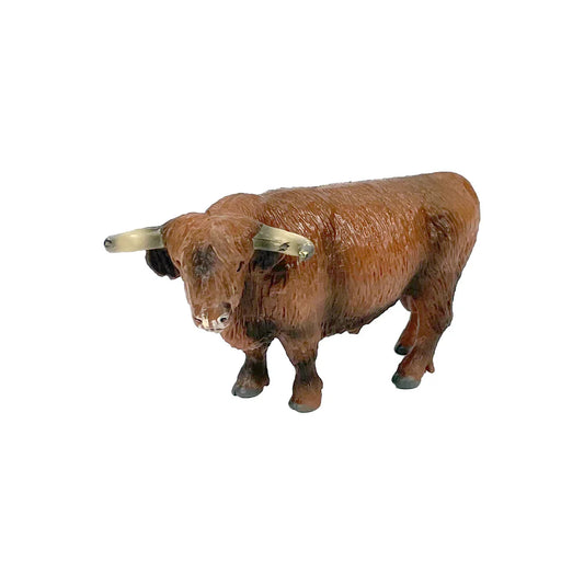 Highland Bull