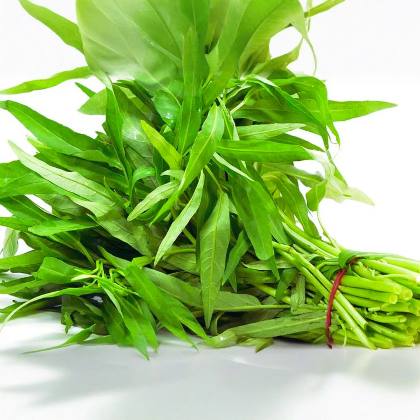 Thai Water Spinach Seeds - Ong Choy Kangkong, Non-GMO Garden Seeds for Home Planting | Ipomoea aquatica