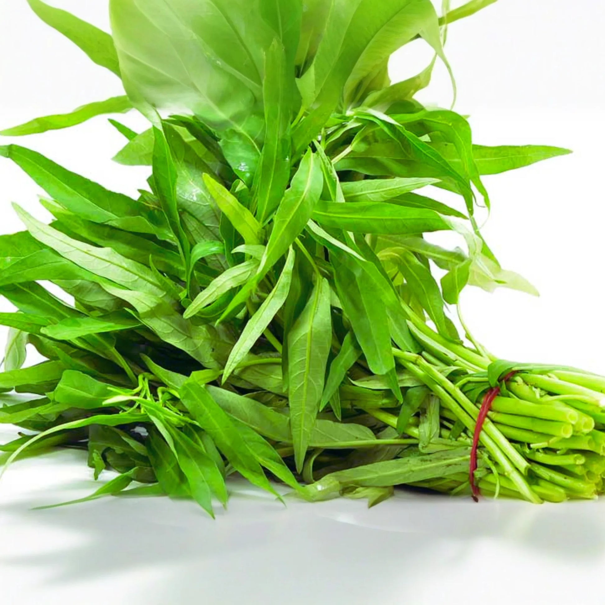 Thai Water Spinach Seeds - Ong Choy Kangkong, Non-GMO Garden Seeds for Home Planting | Ipomoea aquatica