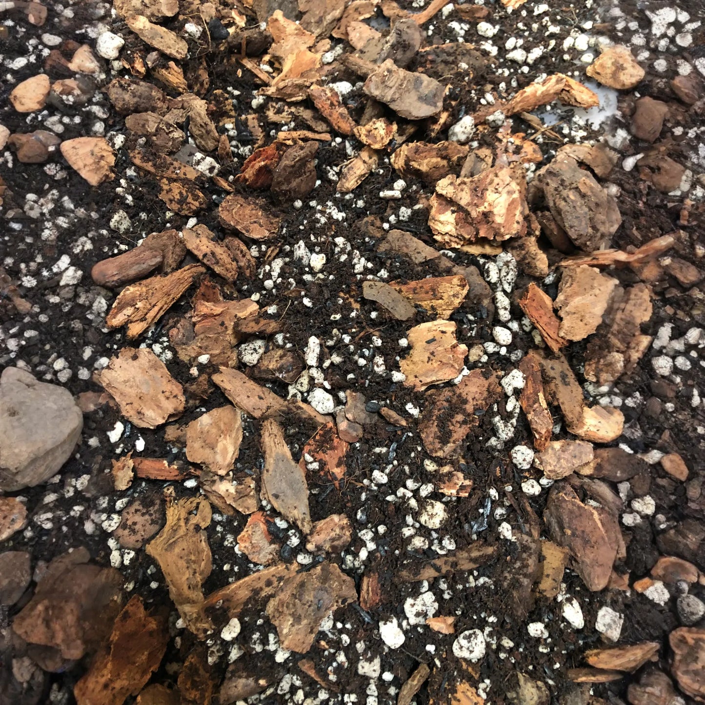 HOYA Premium Potting Mix