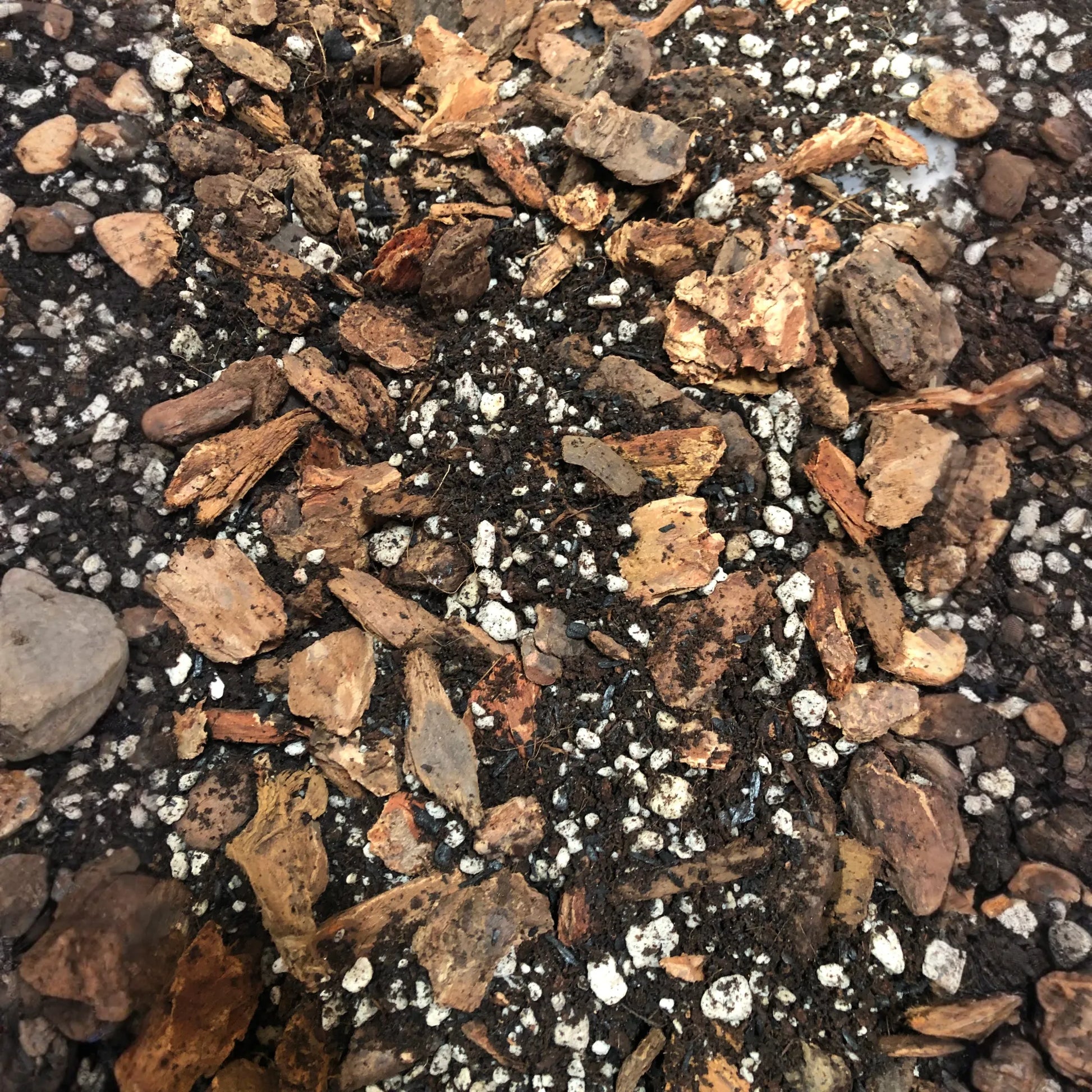 HOYA Premium Potting Mix