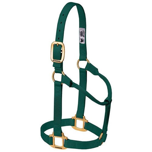 Original Non-Adjustable Halter 1" - Yearling Hunter Green