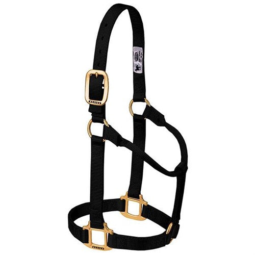 Original Non-Adjustable Halter 1" - Yearling Black