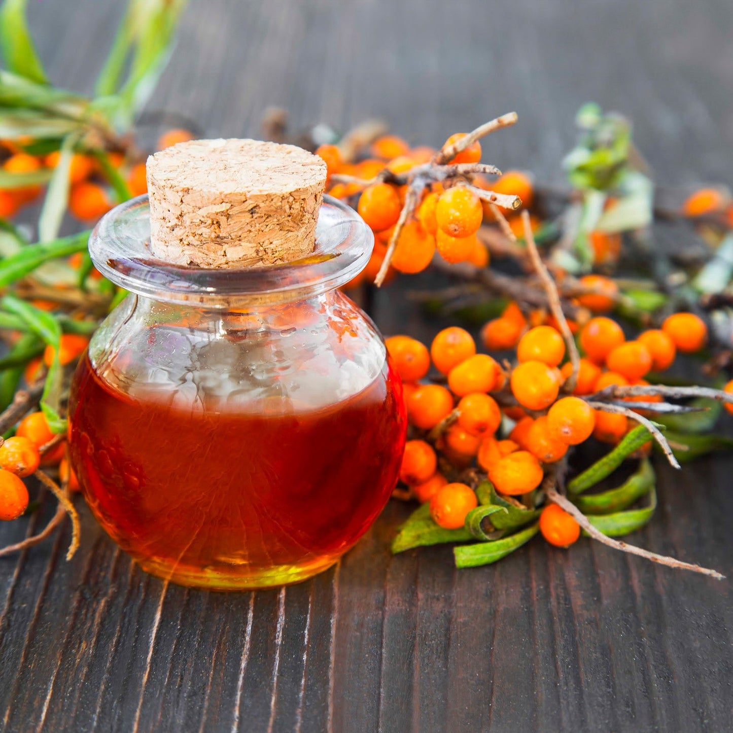 Sea Buckthorn Fruit Oil - Virgin Organic