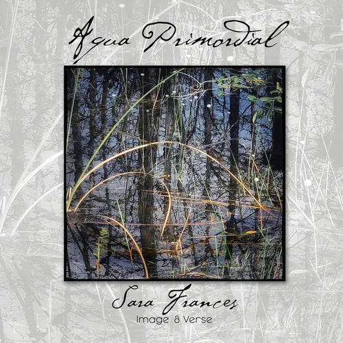 Aqua Primordial