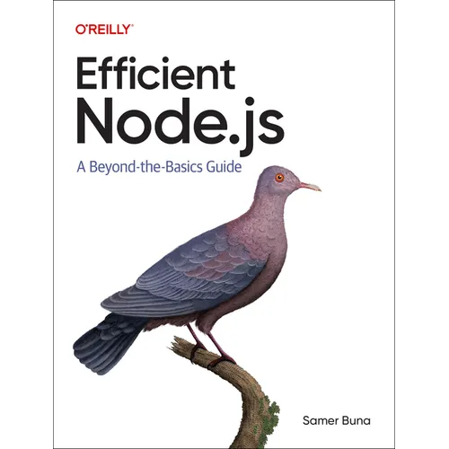 Efficient Node.Js: A Beyond-The-Basics Guide