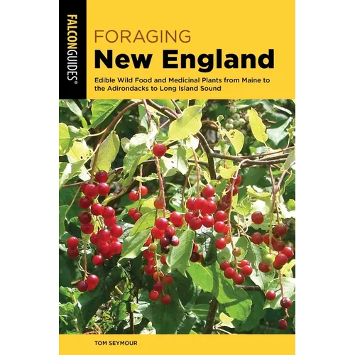 Foraging New England