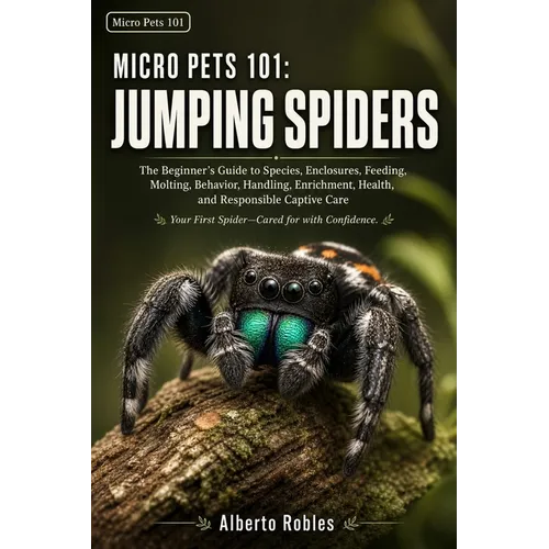 Micro Pets 101: Jumping Spiders