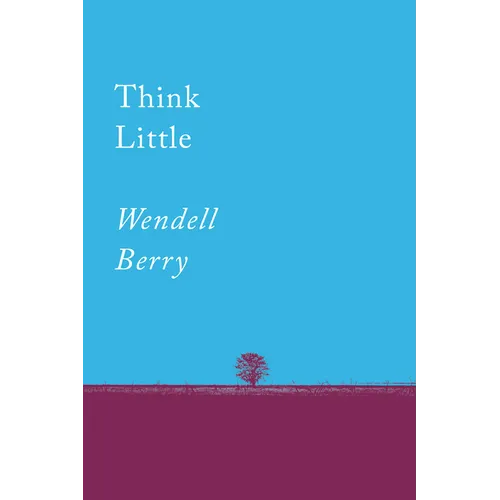 Think Little: Essays