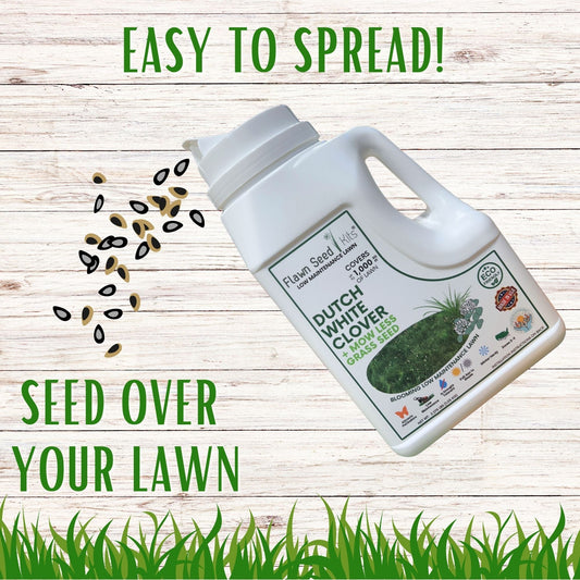 Dutch White Clover + Mow Less Grass Seed