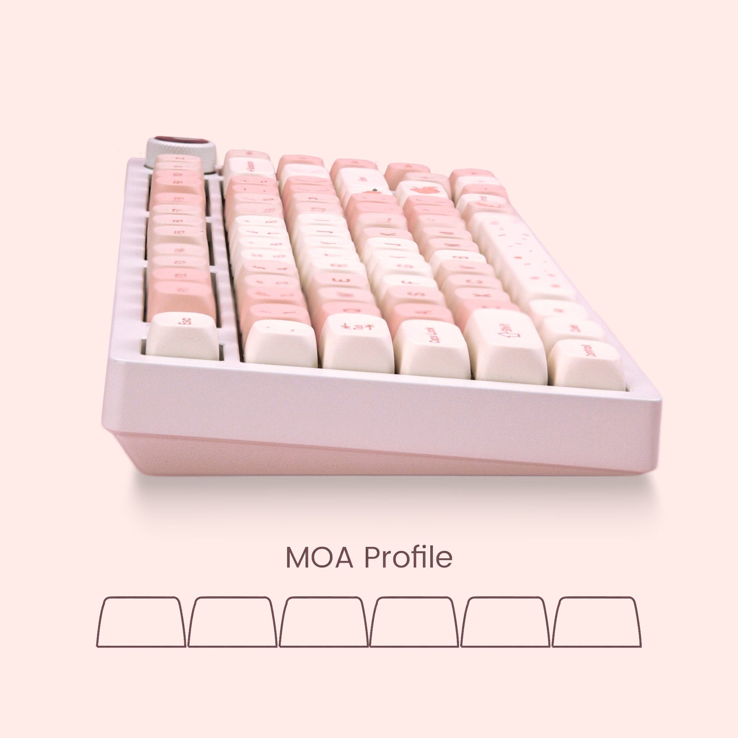 XVX Sakura 143-Key MOA Profile Dye-Sub PBT Keycap Set