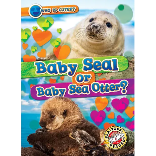 Baby Seal or Baby Sea Otter?