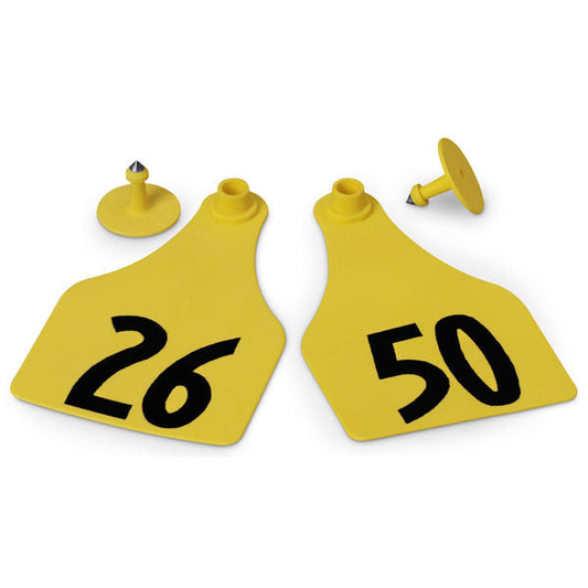 LG. Female/SM Male Yellow 26-50