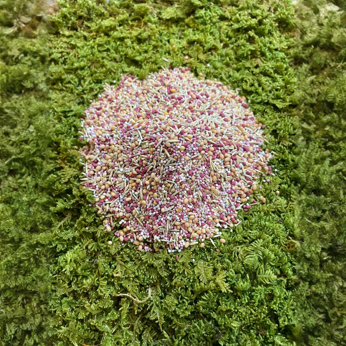 Low Grow™ No-Mow Lawn Mix – Clover & Low-Maintenance Grass Alternative