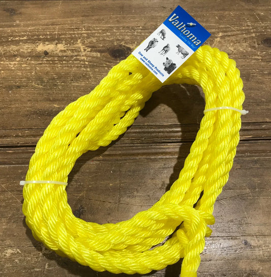 SHEEP HOLDING HALTER YELLOW