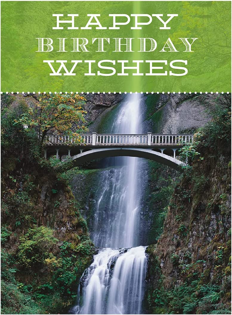 98639 - Religious Birthday Card Assortment Box Set with Envelopes, 12 Cards, Cupcake, Waterfall, Puppy, and Floral Photography