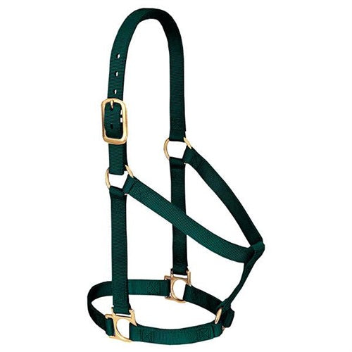 Basic Non-Adjustable Halter - Large Hunter Green