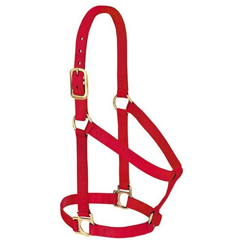 Basic Non-Adjustable Halter - Large Red