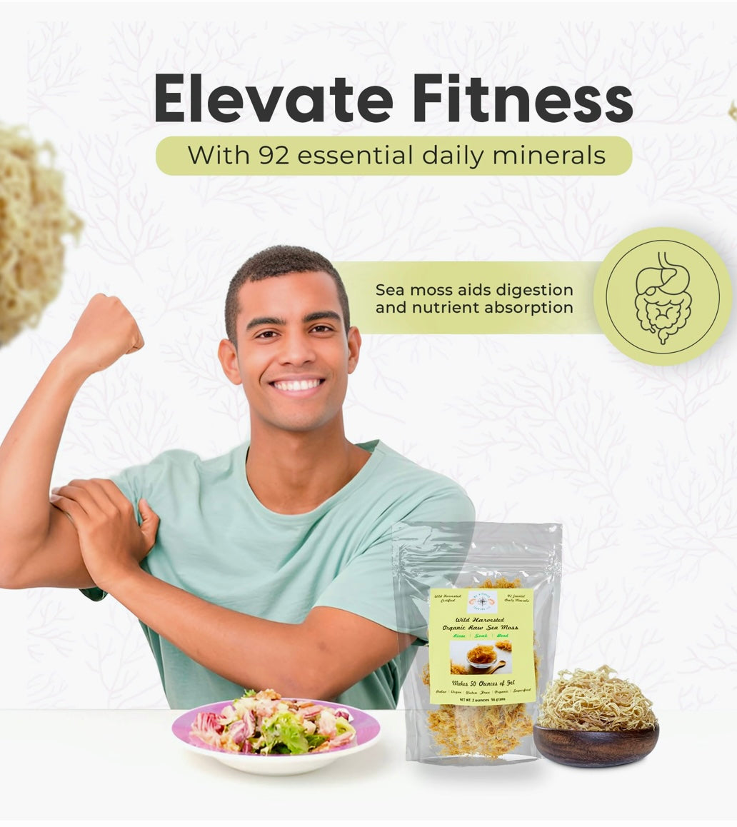 Organic Dragon Fruit Infused Sea Moss Gel