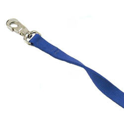 1" DOUBLE LAYER NYLON LEASH  4' BLUE