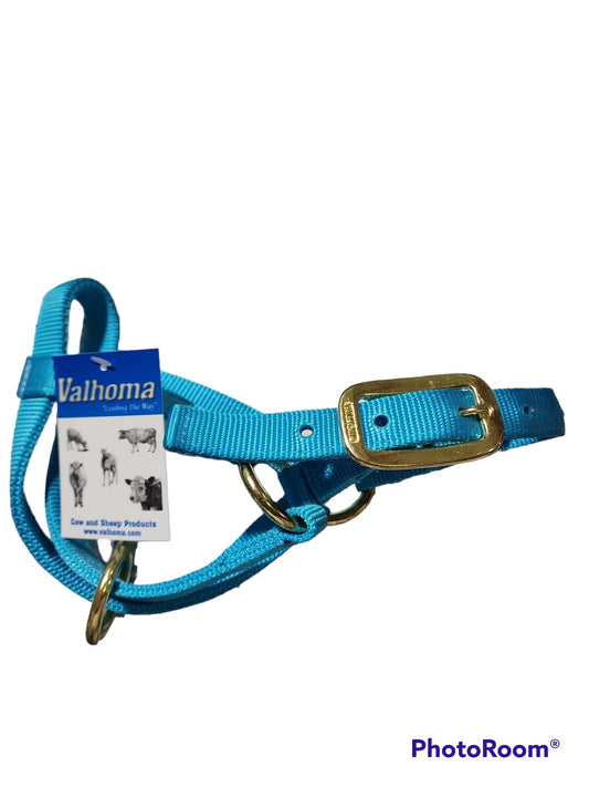 Valhoma: Halter - Goat Nanny - TURQUIOSE