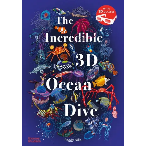 The Incredible 3D Ocean Dive