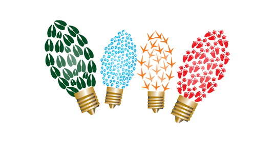 Lights Christmas Cards