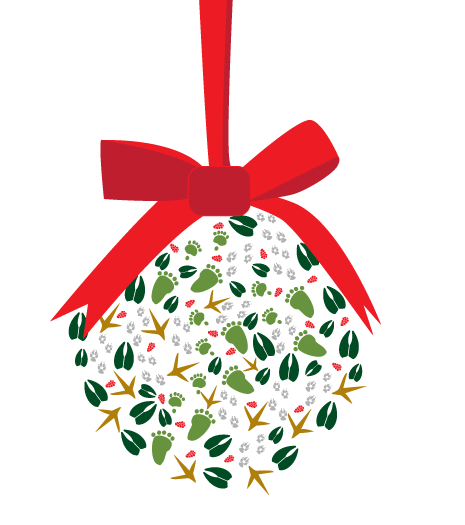 Kissing Ball Christmas Cards