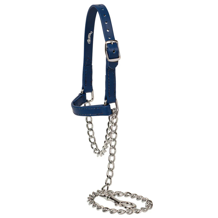 SMALL SHEEPSheep and Goat Brahma Webb® Halters BLUE