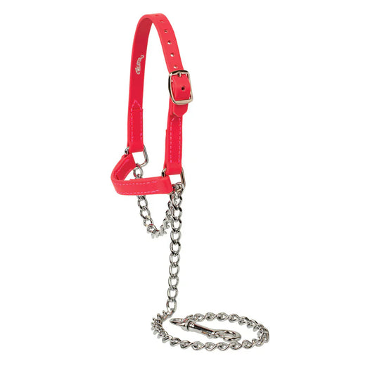 SMALL Sheep and Goat Brahma Webb® Halters STRAWBERRY