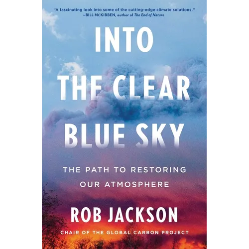Into the Clear Blue Sky: The Path to Restoring Our Atmosphere