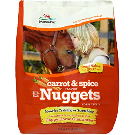 CARROT & SPICE NUGGETS