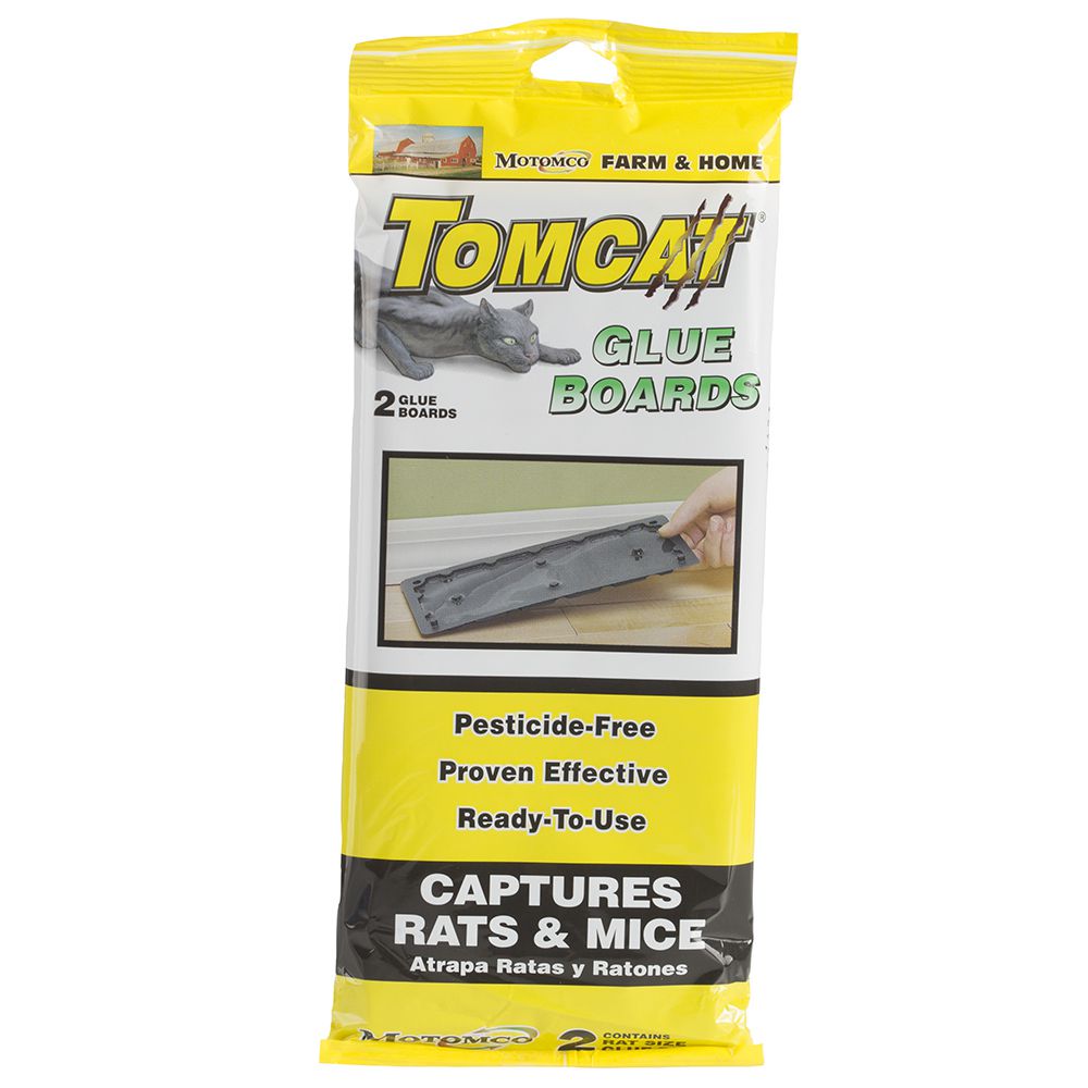 GLUE TRAP-RAT 2PK