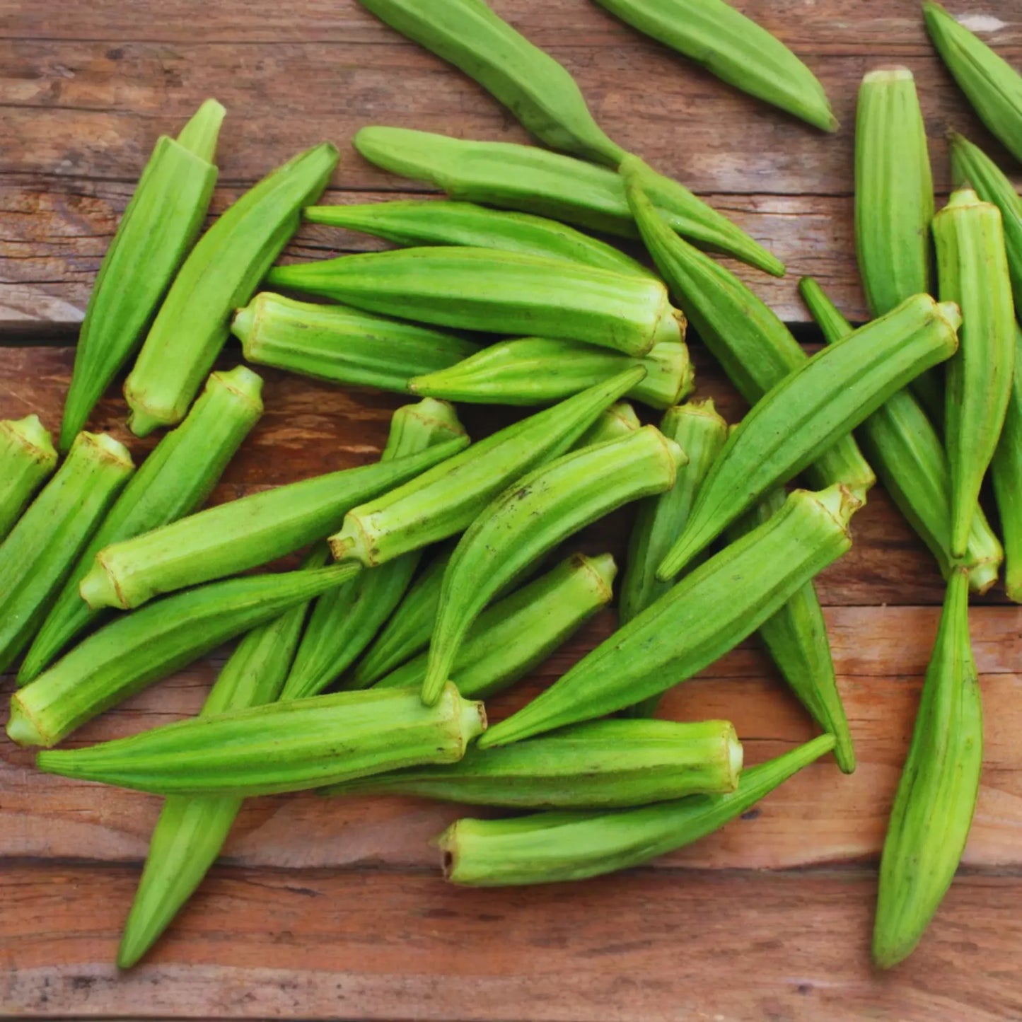 Clemson Spineless Okra Seeds | 100+ Non-GMO Heirloom Seeds | Organic Vegetable Seeds | Abelmoschus esculentus