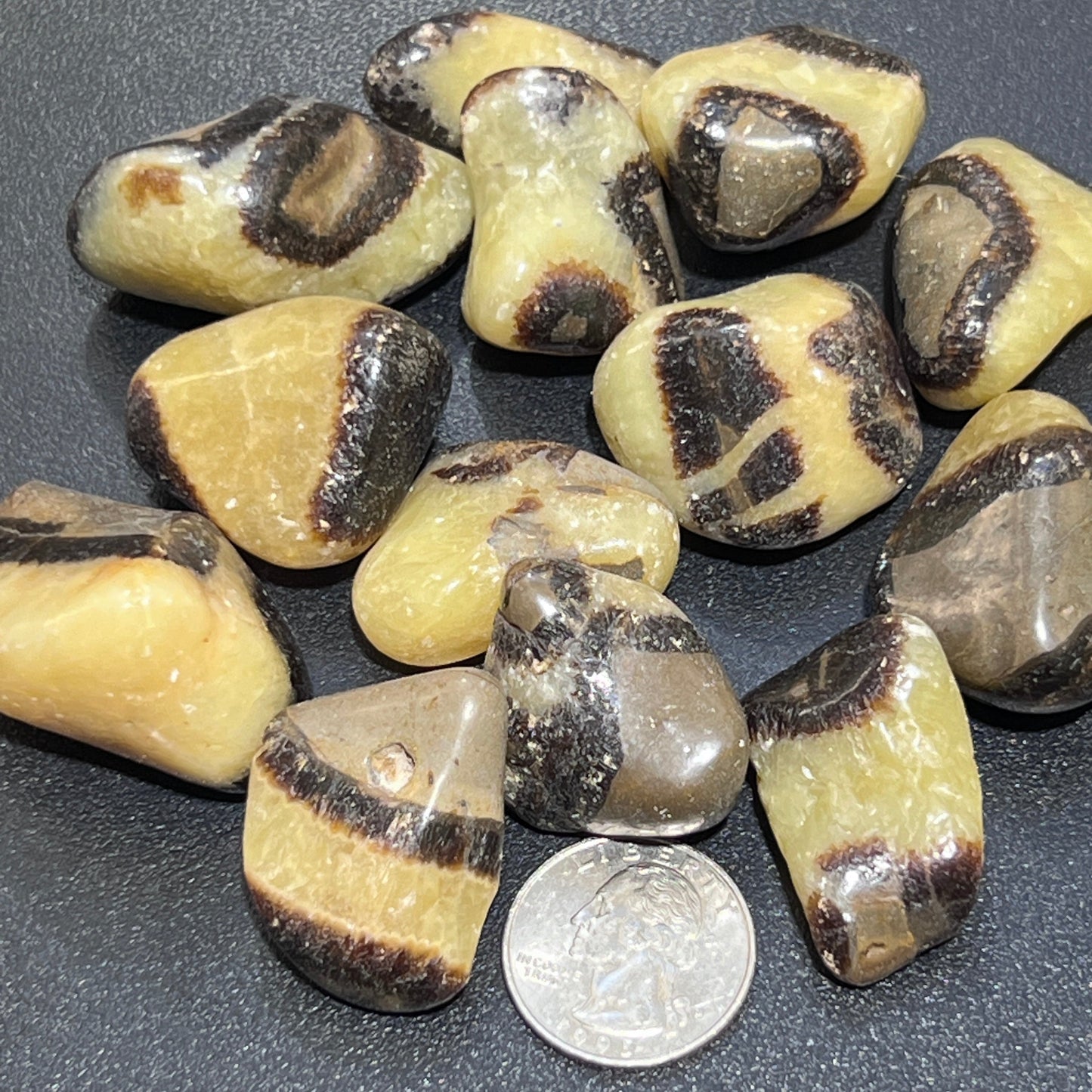 Septarian Calcite Nodule Tumbled (UV Reactive) Bulk Wholesale Lot Polished Gemstones