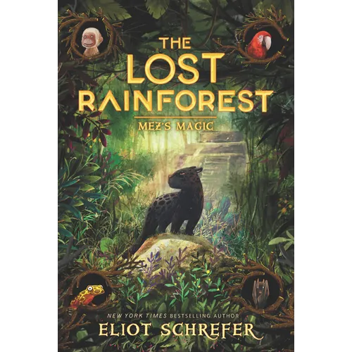 The Lost Rainforest: Mez's Magic