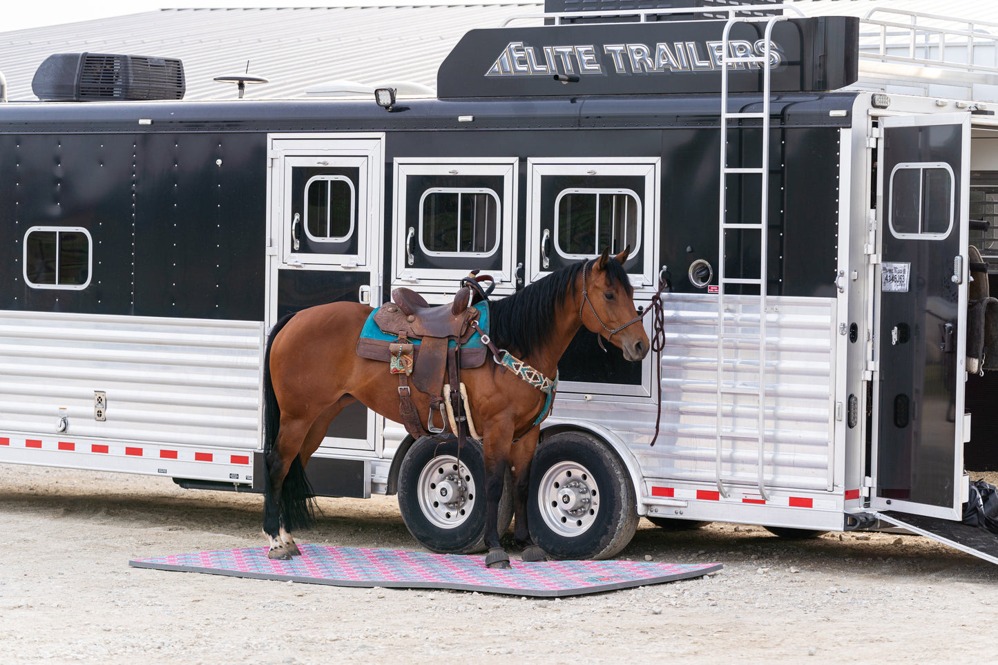 5x10ft Pink Squash Blossom