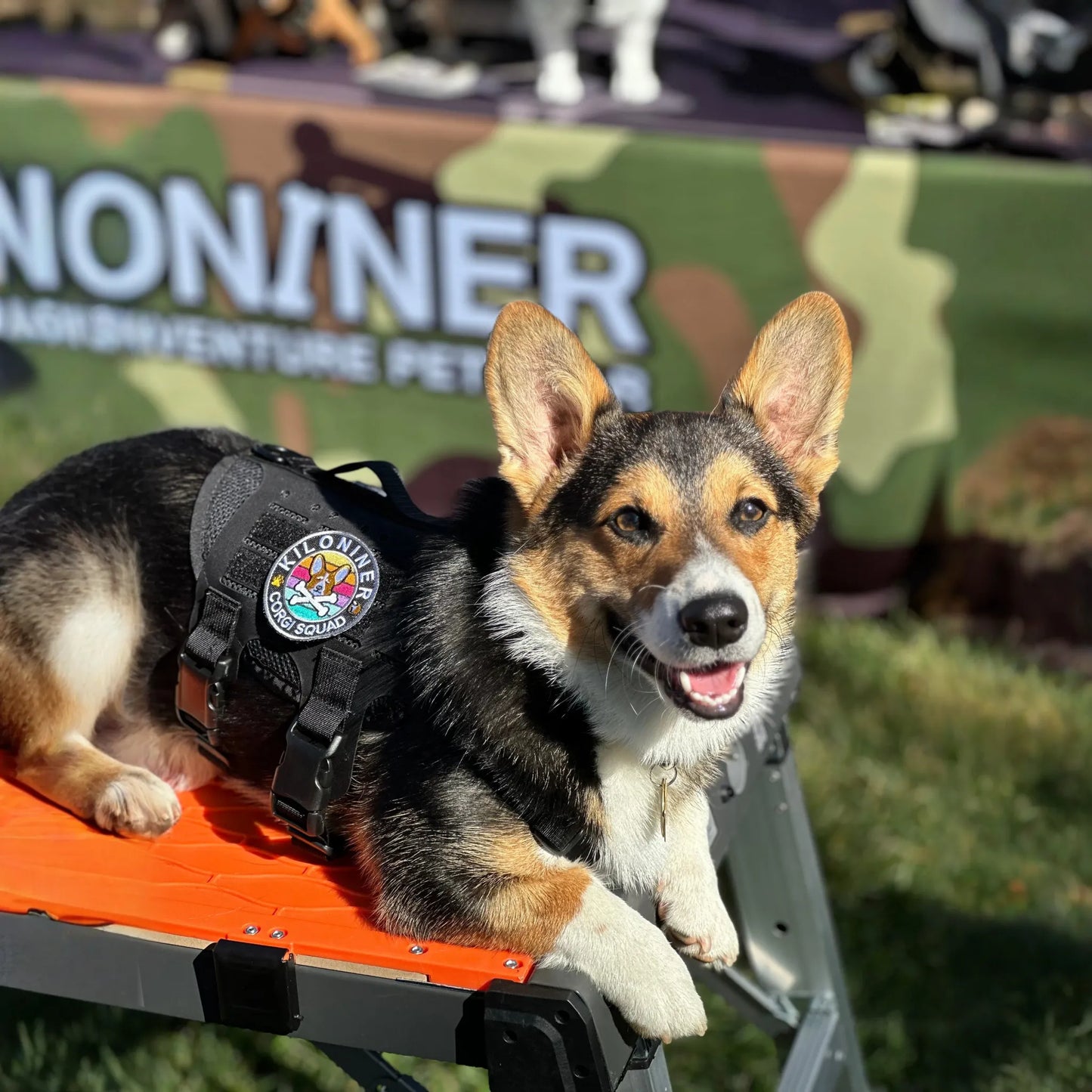 Kiloniner Corgi Squad Morale Patch