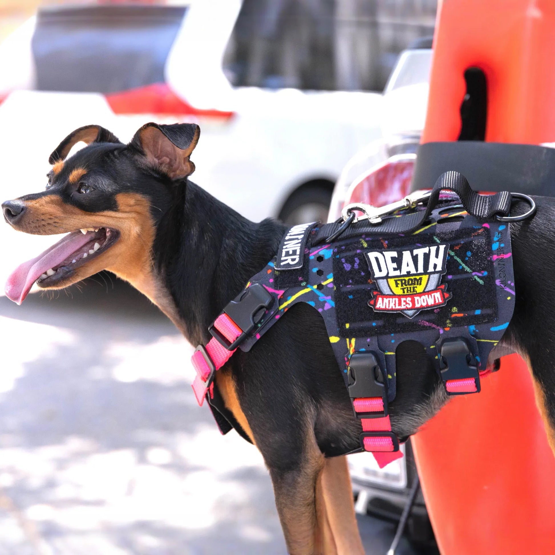 K9R - M5 MOLLE Light Vest
