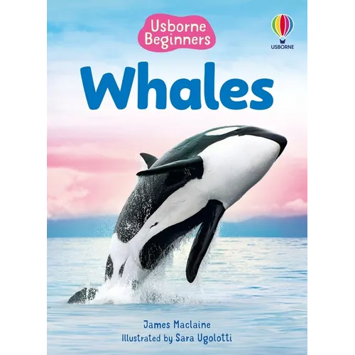 Beginners Whales
