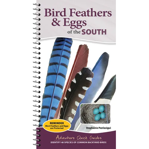 Bird Feathers & Eggs of the South: Identify 40 Species of Common Backyard Birds
