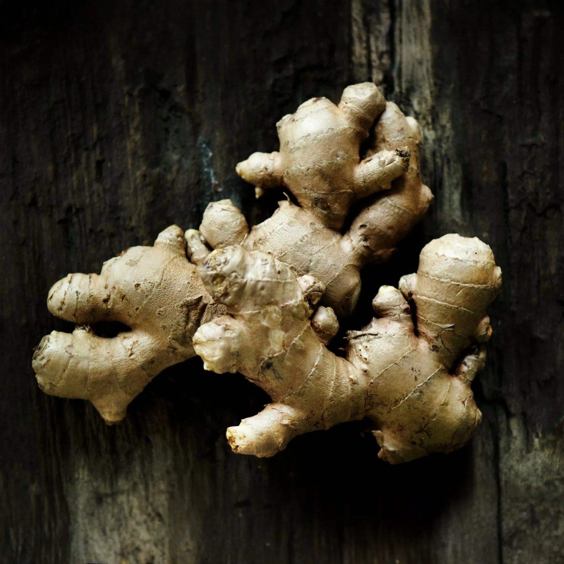 Ginger Essential Oil