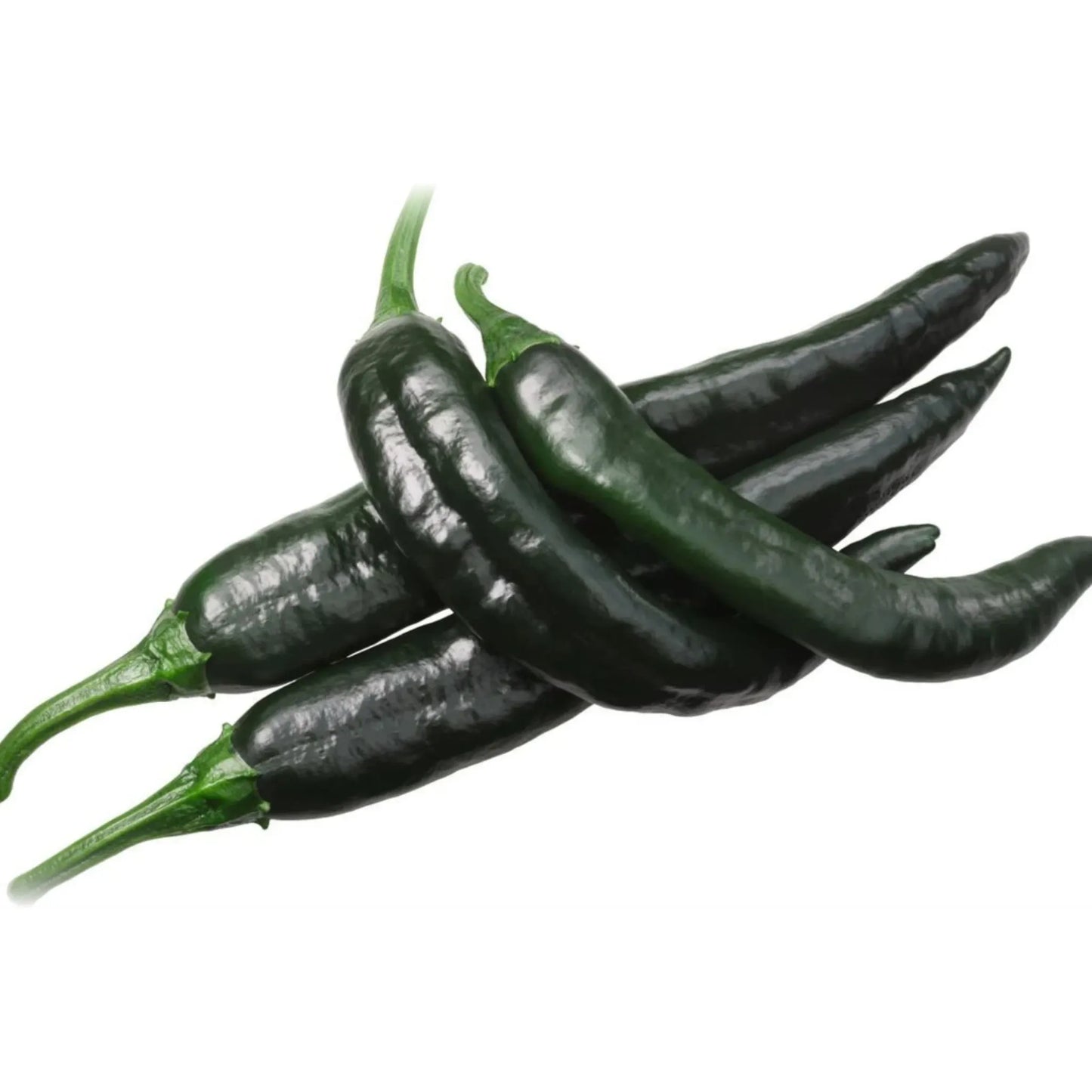 25 Seeds Pasilla Bajio Chilaca Pepper - Capsicum annuum, Mild & Smoky Mexican Chile