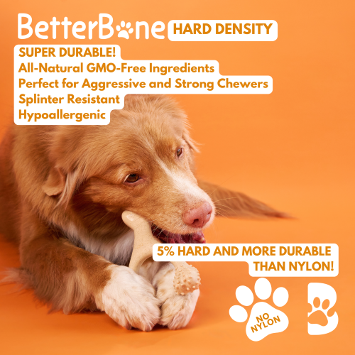 BetterBone HARD CHEW TOY: The natural, eco-friendly, and ultra-durable chew for the toughest chewers!