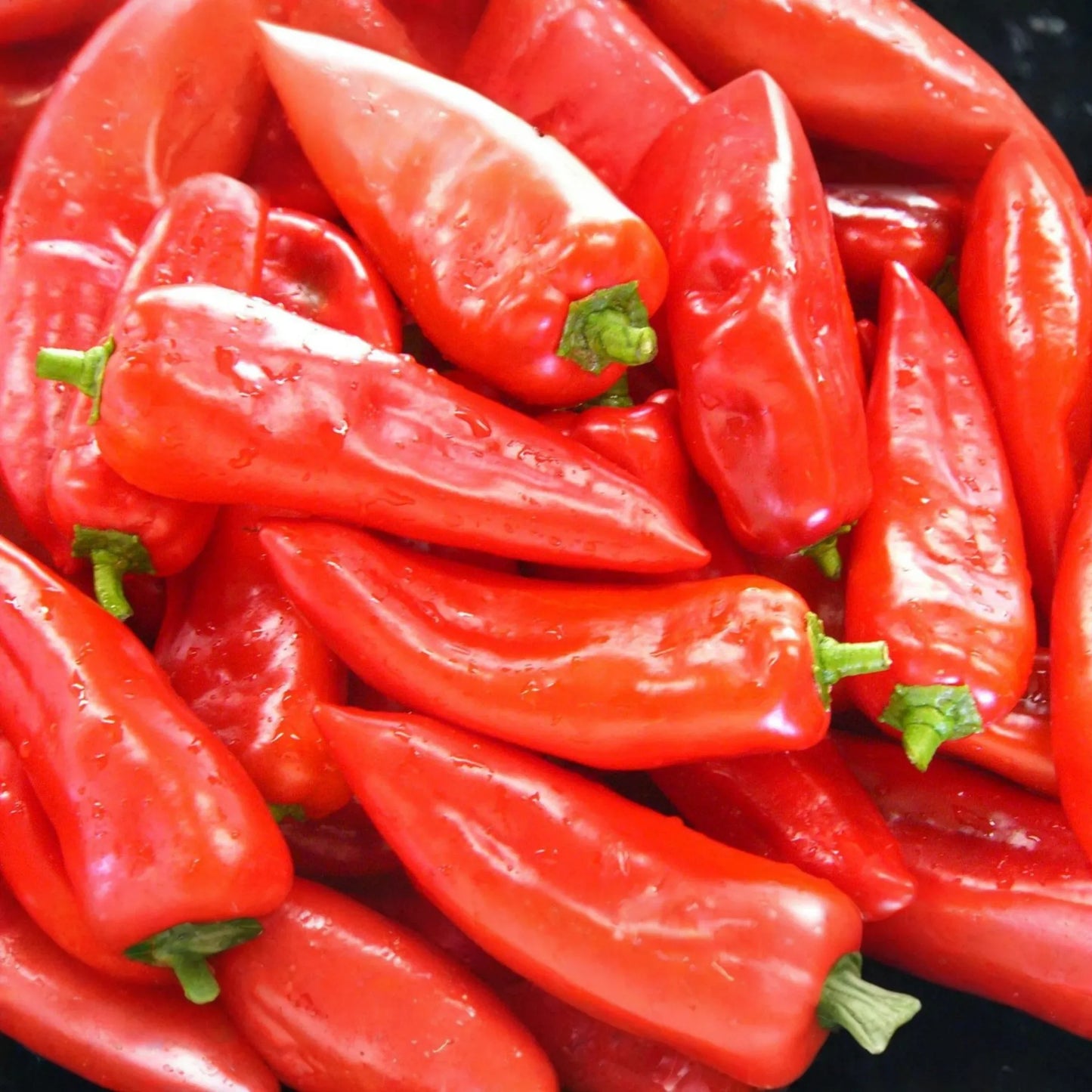 250mg Cubanelle Sweet Pepper Seeds | Capsicum annuum Mild & Sweet | Perfect for Frying and Salads