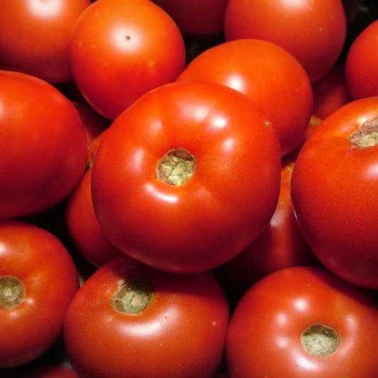 100mg Tomato Rutgers Seeds Solanum lycopersicum | Heirloom Variety, Non-GMO, Ideal for Canning & Fresh Use
