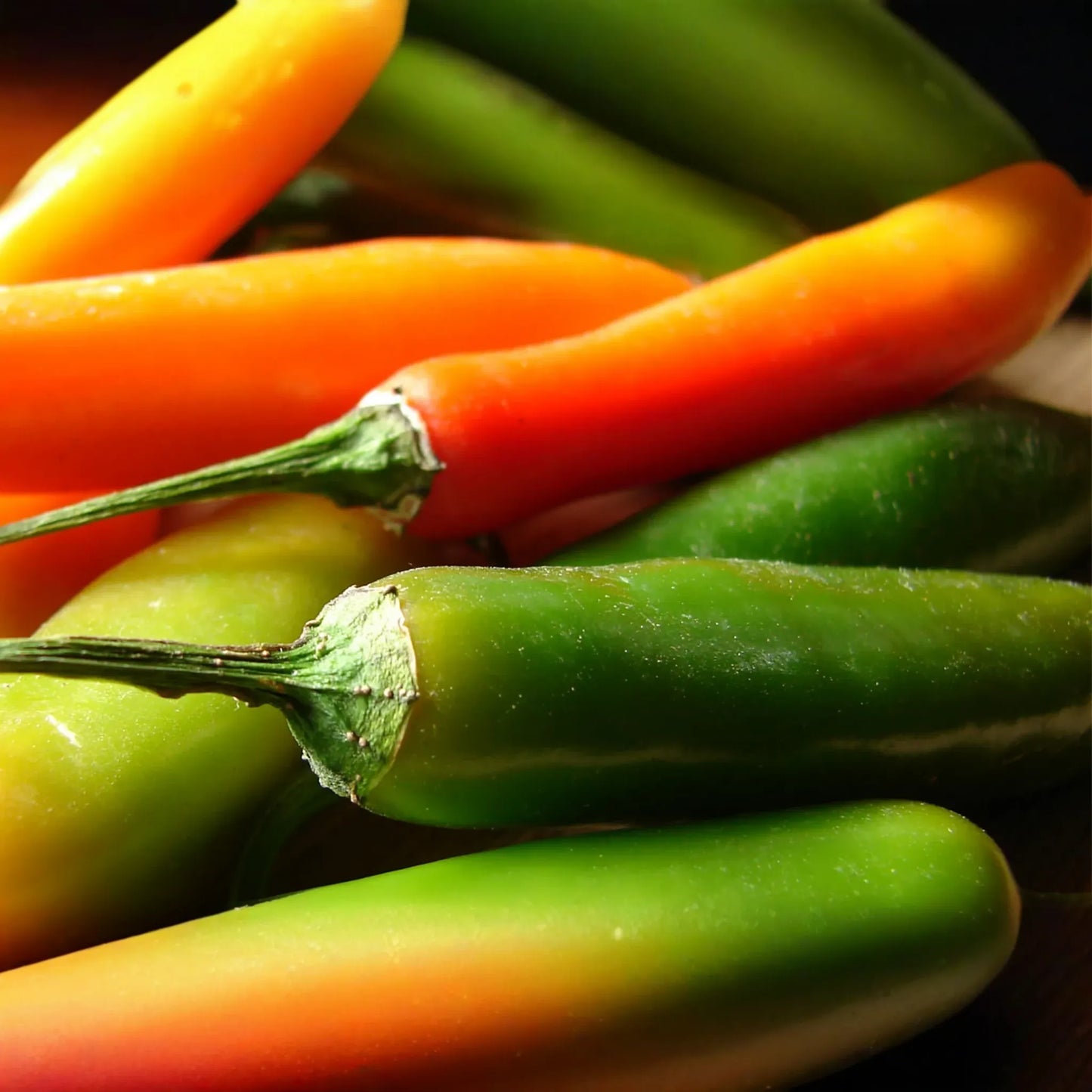 250mg Barker Hot Pepper Seeds Capsicum annuum | Spicy New Mexican Chili, Heirloom Variety, High Yield, Non-GMO for Salsas & Cooking